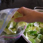 Vegetable Soup with Escarole and Beans