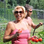 New Jersey Tomatoes